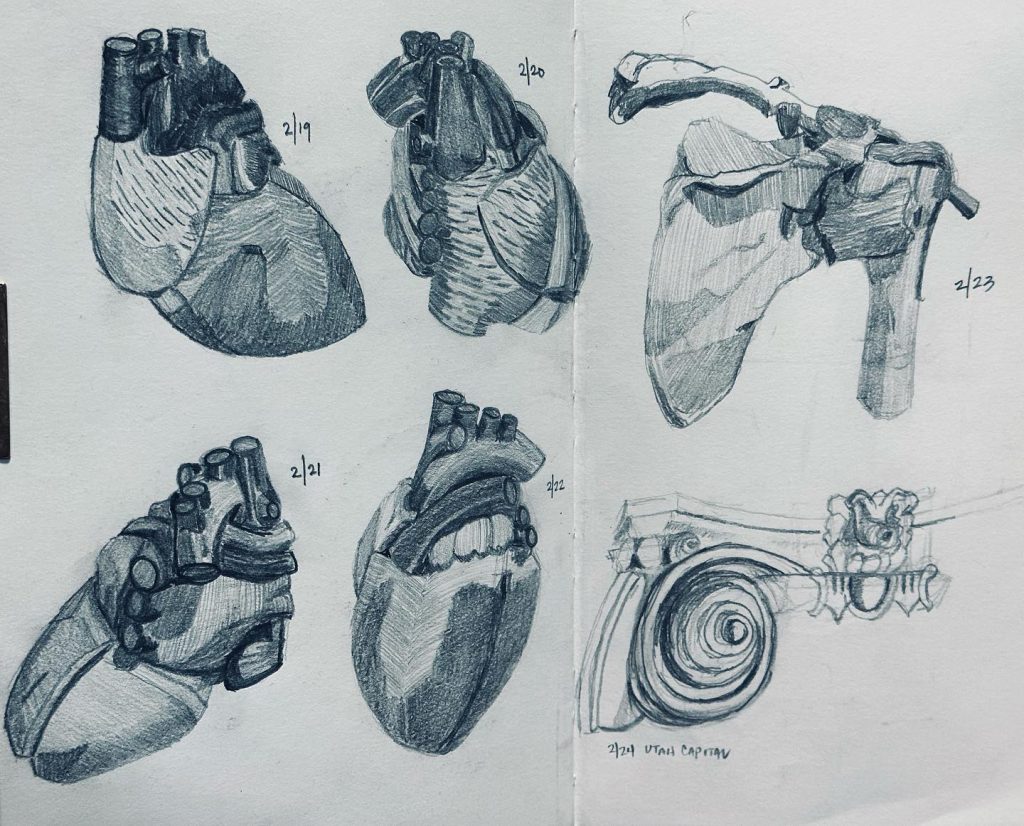 Read more about the article 10 days of graphite, hearts and shoulders.