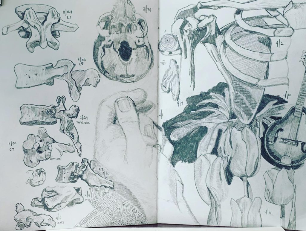 Read more about the article 12 day spread, plus a couple quickies from watching Aikido keiko last night.