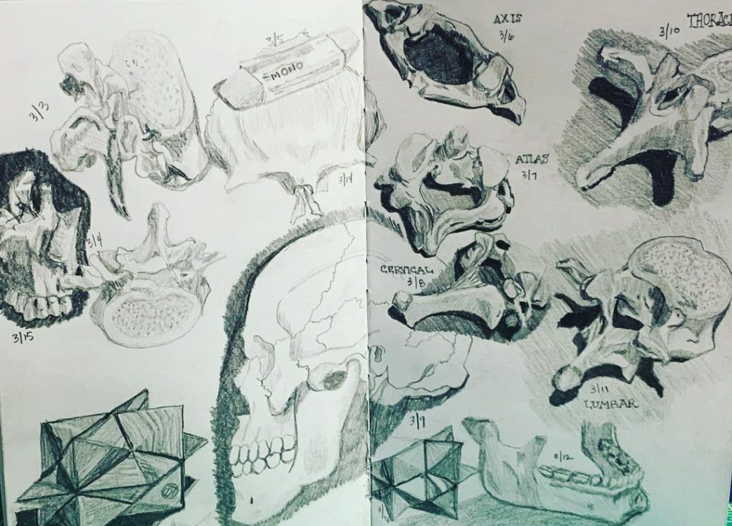 Read more about the article 13 days of drawing.