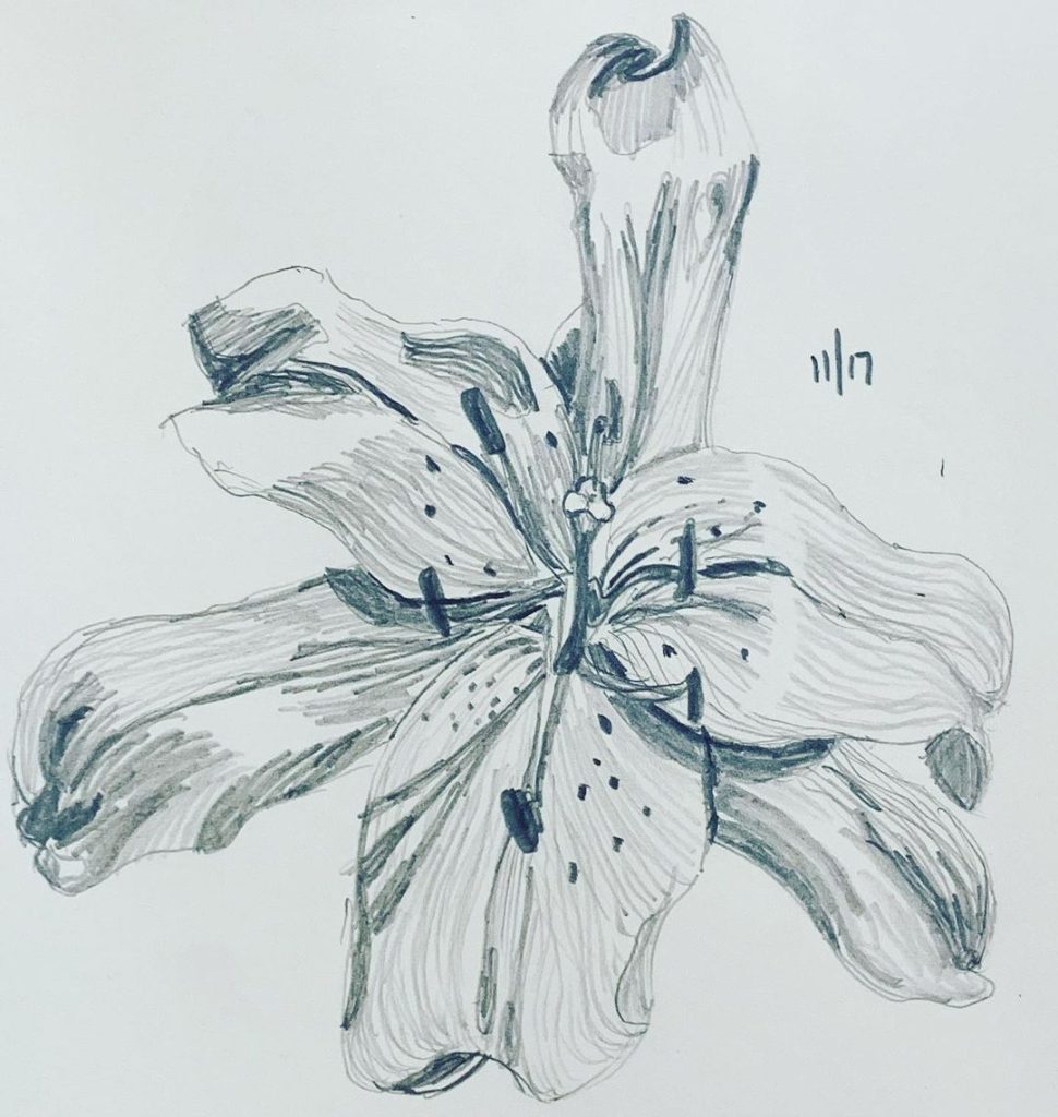 Read more about the article Captainâ€™s log, day 78.