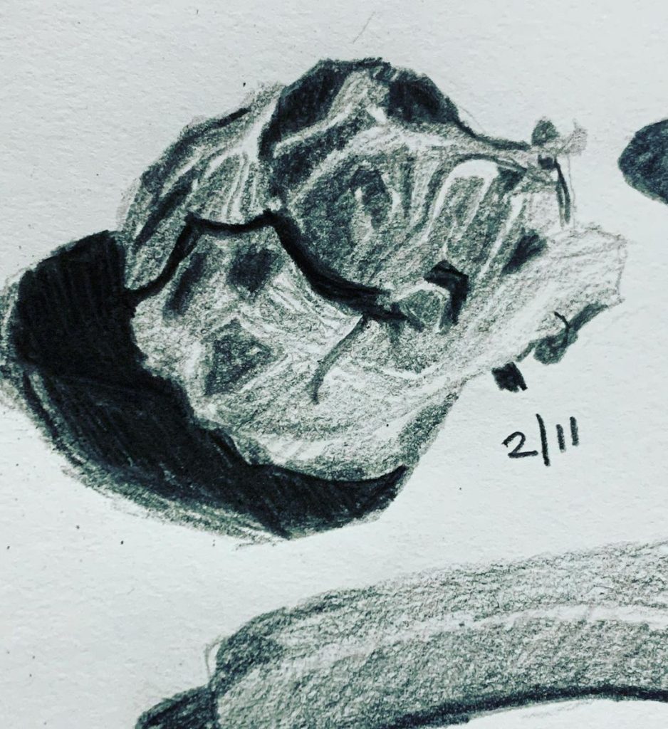 Read more about the article Consecutive Day 529. Needs heavy cream. And bacon.