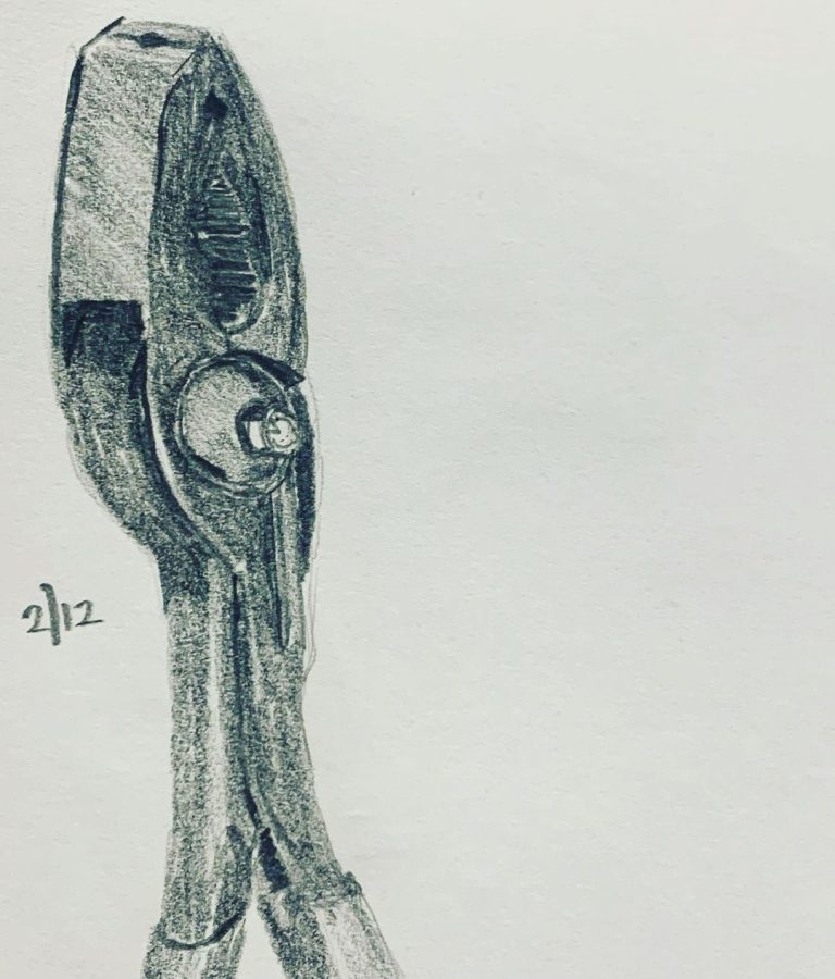 Read more about the article Consecutive Day 530.