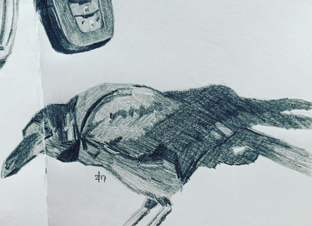 Read more about the article Consecutive Day 535.