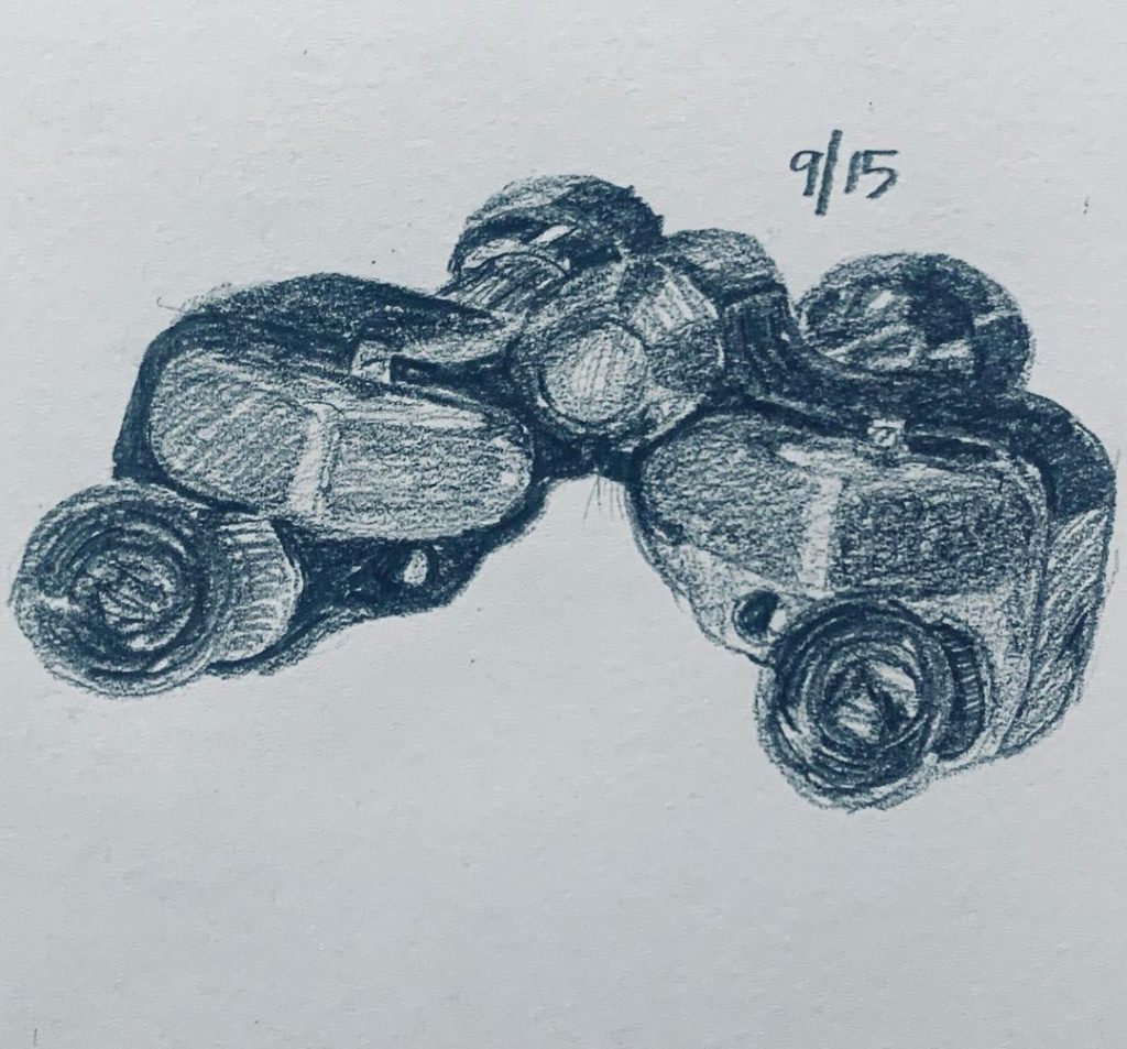 Read more about the article Consecutive Day 745; Strada Day 15.