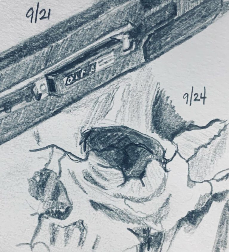 Read more about the article Consecutive Day 754; Strada Day 24.