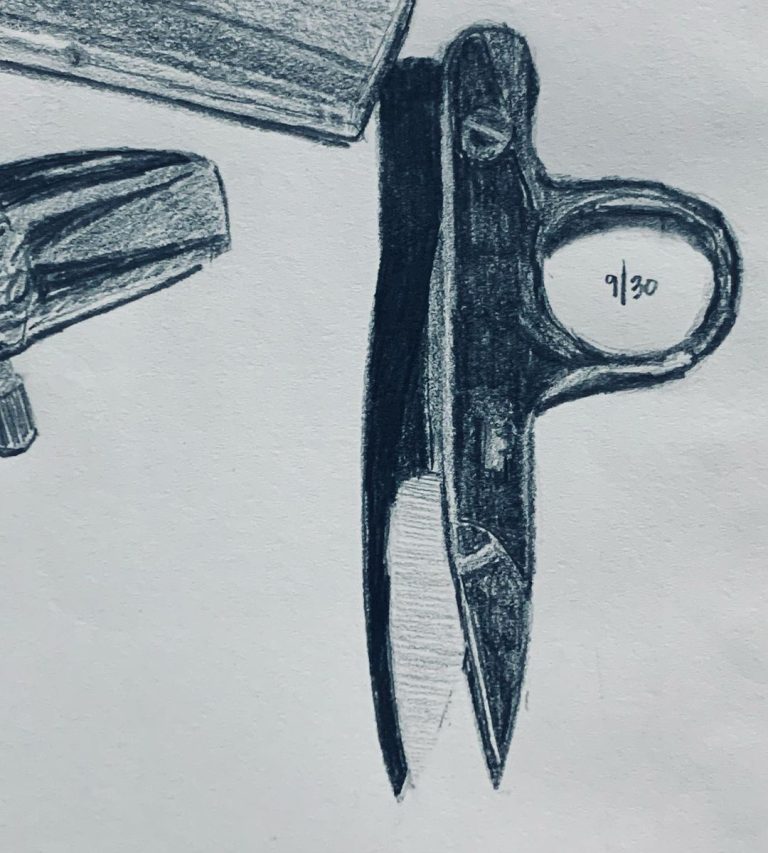 Read more about the article Consecutive Day 760; Strada Day 30.