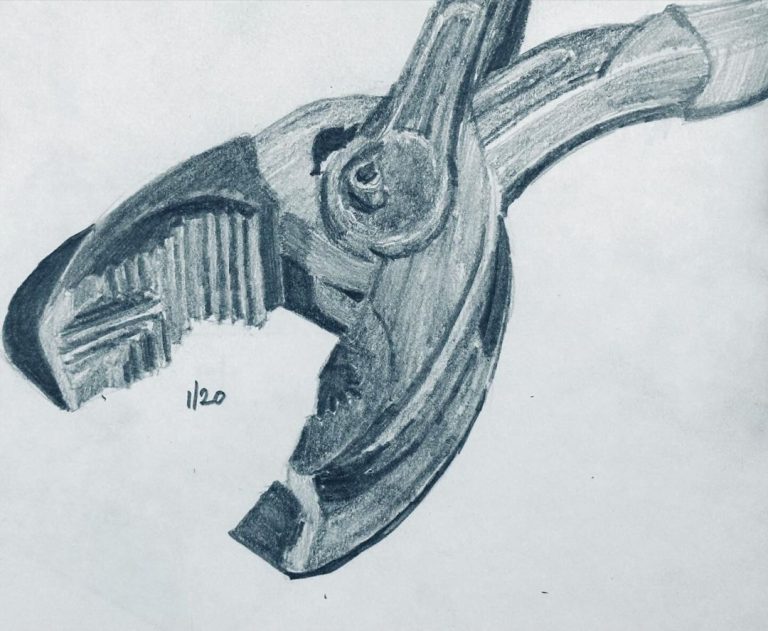 Read more about the article Consecutive day 1,237; Strada day 20.