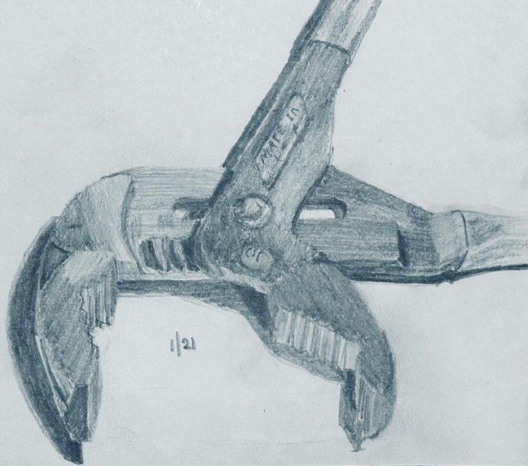 Read more about the article Consecutive day 1,238; Strada day 21.