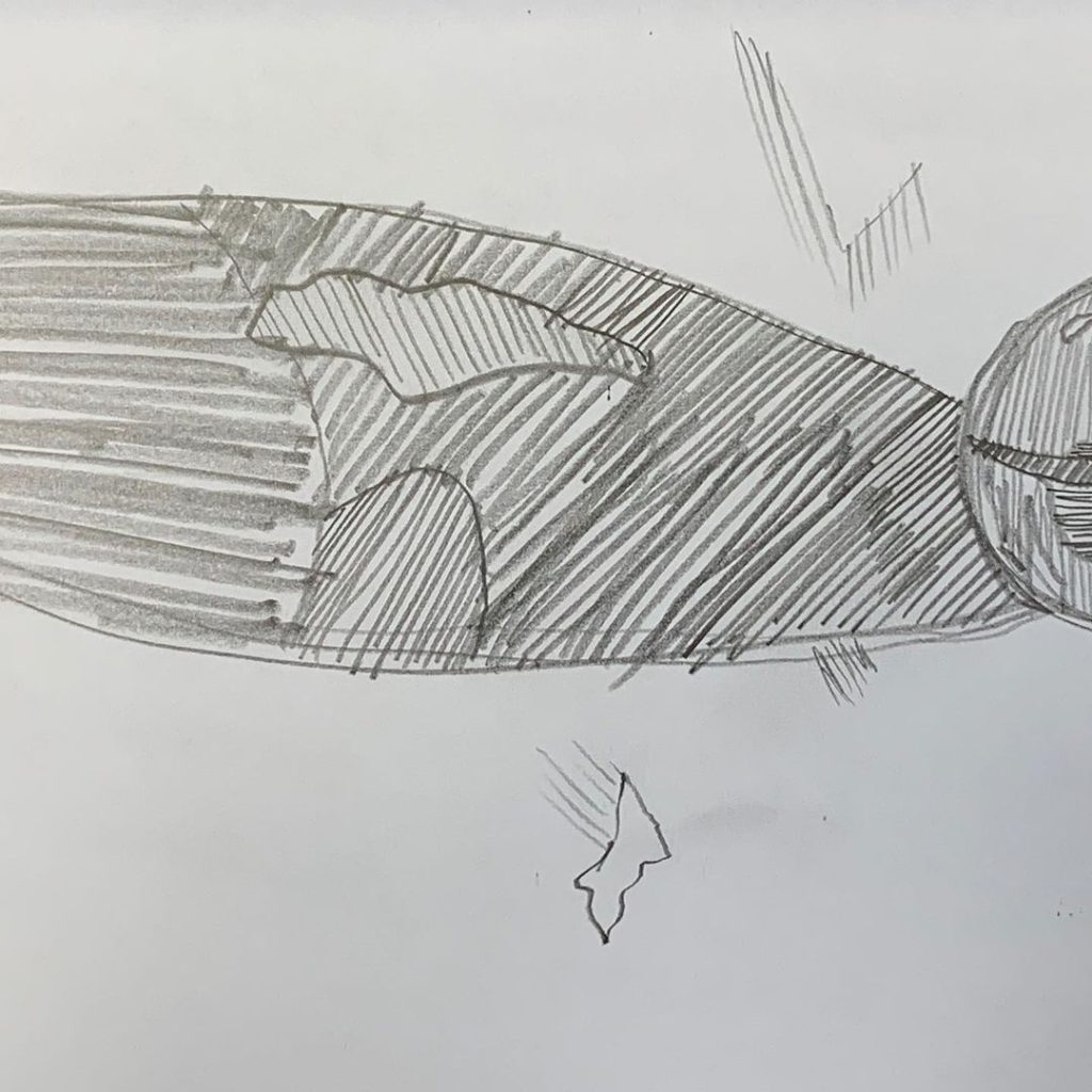 Read more about the article Day 1