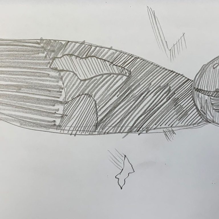 Read more about the article Day 1