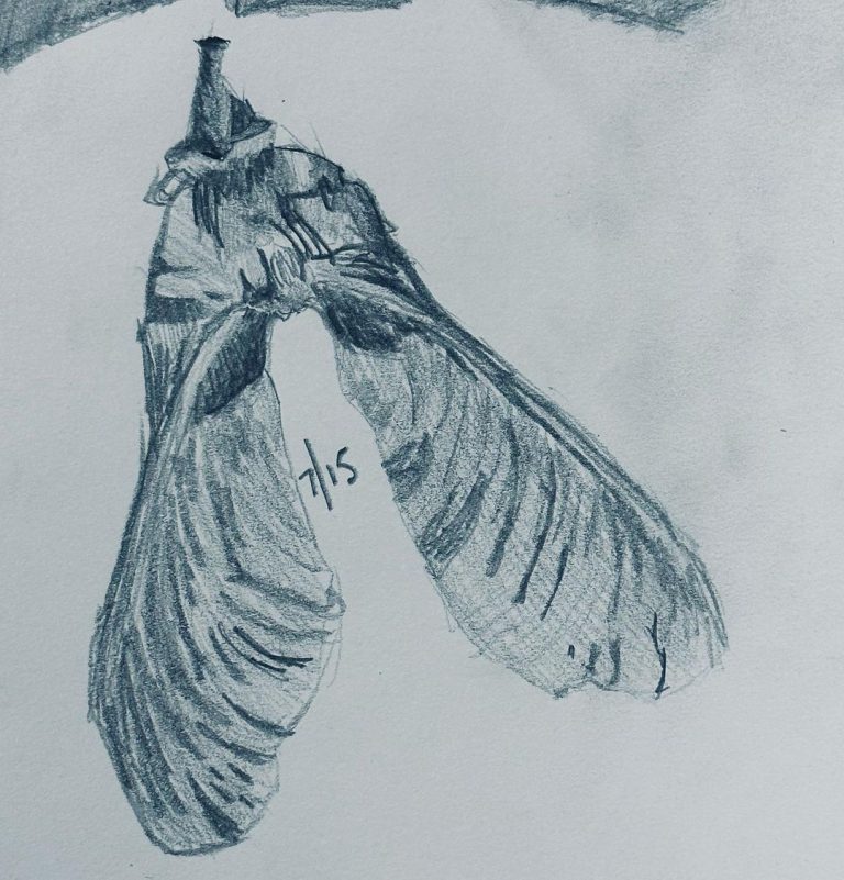 Read more about the article Day 1,048.