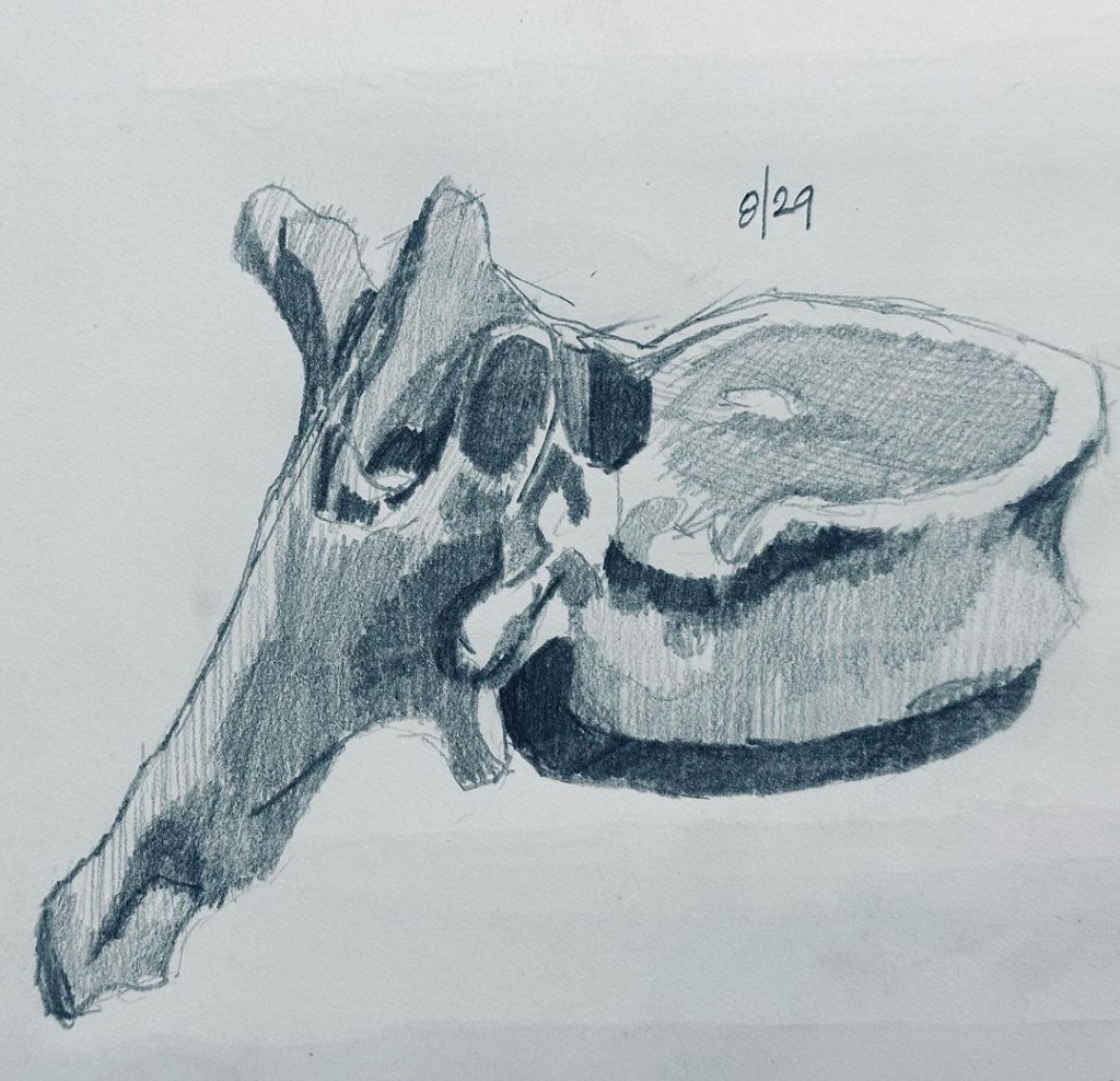 Read more about the article Day 1,093.