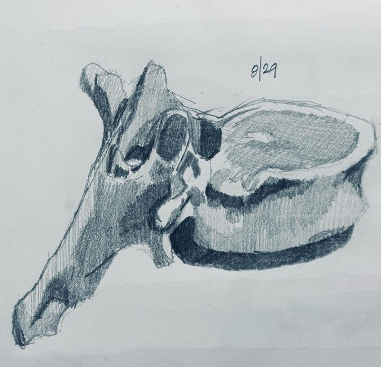 Read more about the article Day 1,093.