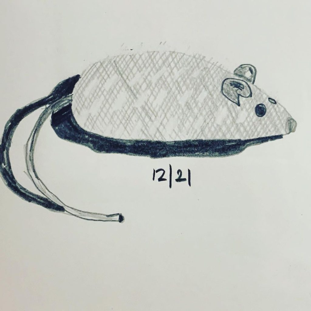 Read more about the article Day 112.