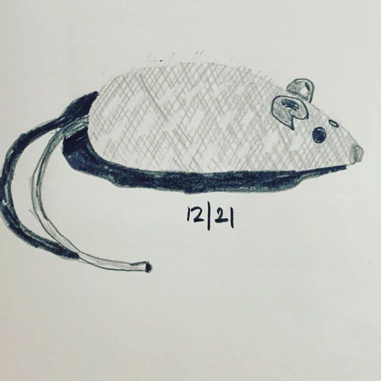 Read more about the article Day 112.