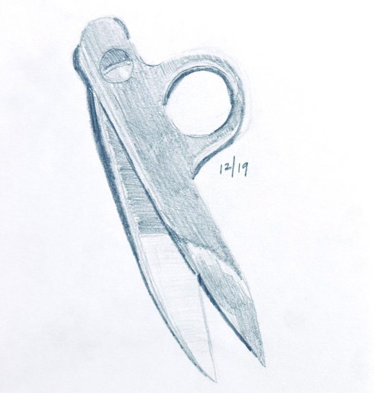 Read more about the article Day 1,205.