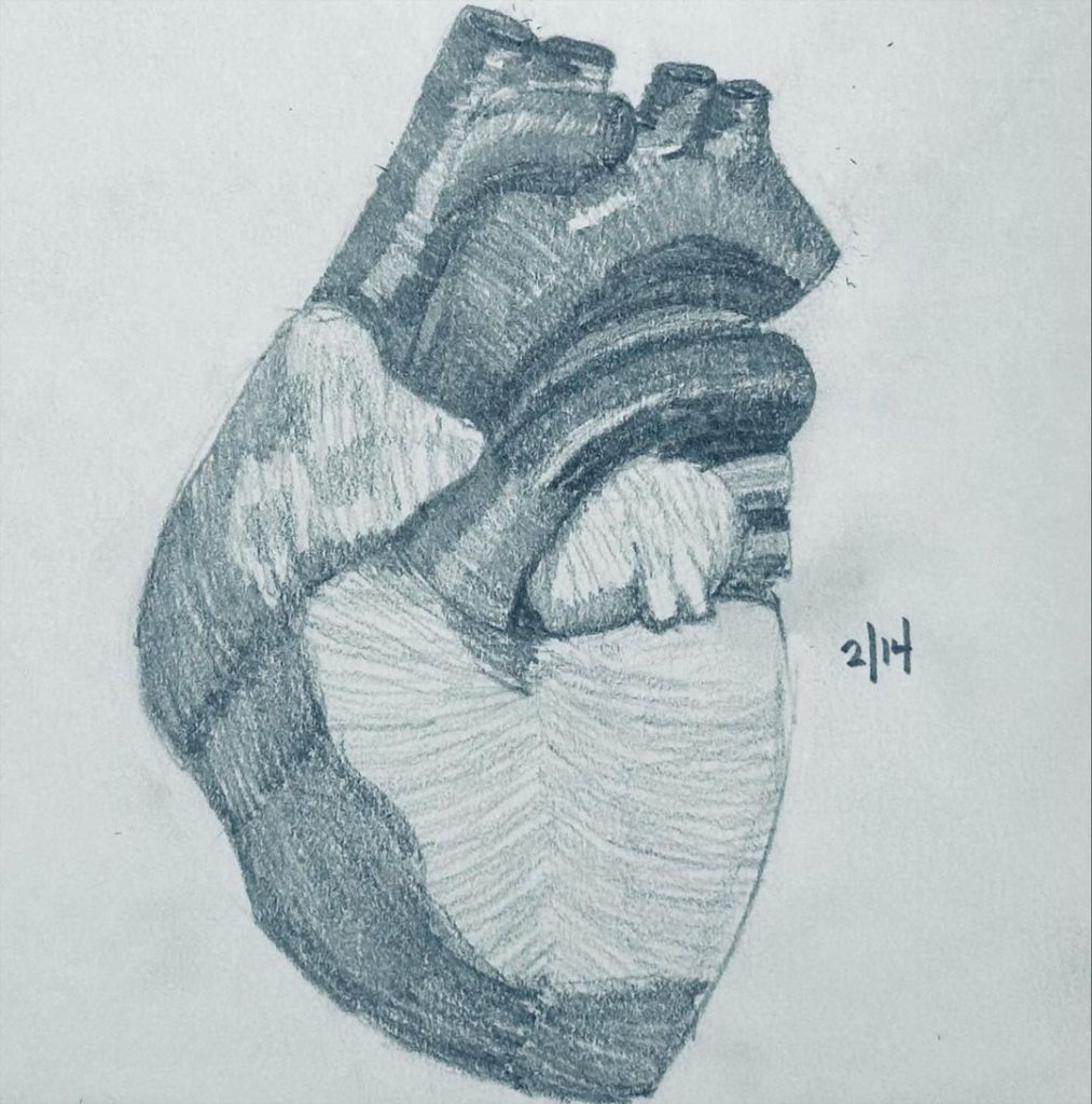 Read more about the article Day 1,262.  Happy Valentines Day.