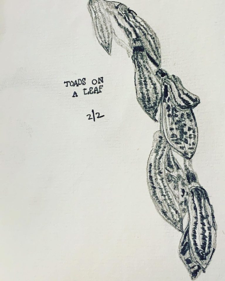 Read more about the article Day 155.