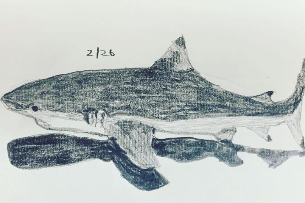 Read more about the article Day 179. After