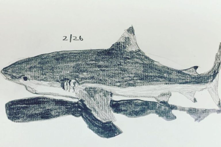 Read more about the article Day 179. After