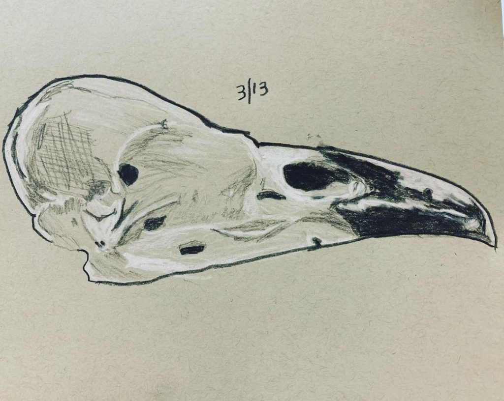 Read more about the article Day 194. First attempt using charcoal on neutral gray paper.