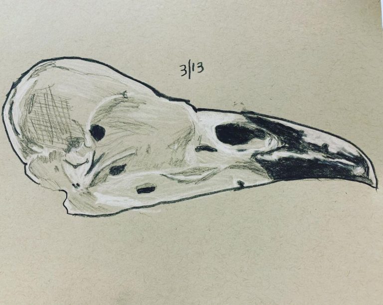 Read more about the article Day 194. First attempt using charcoal on neutral gray paper.