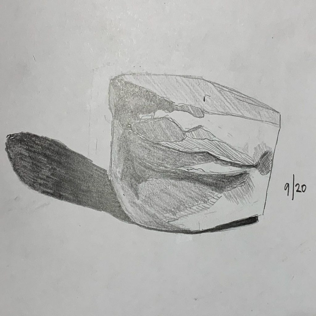 Read more about the article Day 20