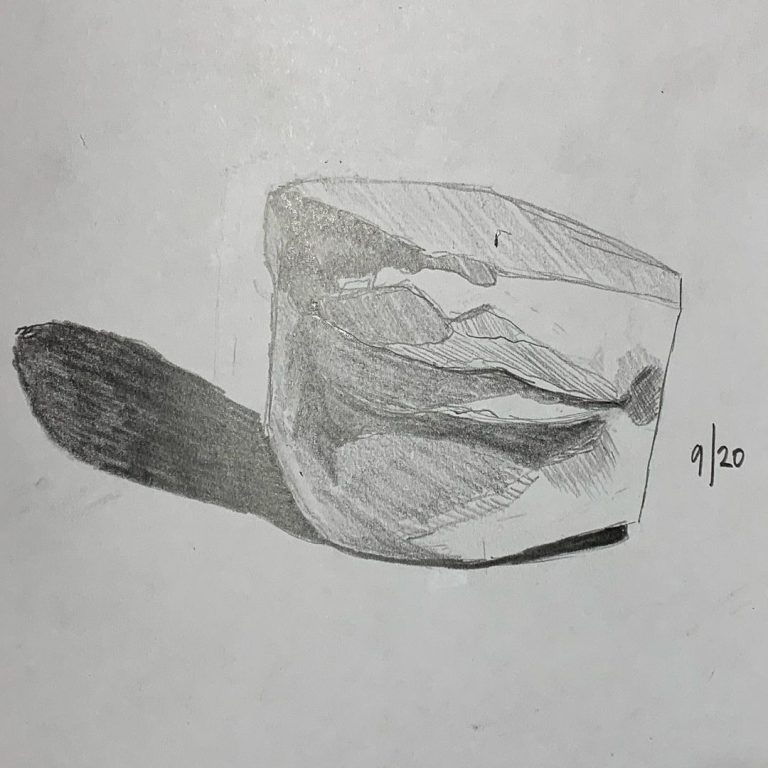 Read more about the article Day 20