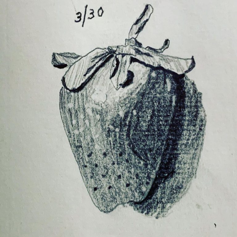 Read more about the article Day 211.