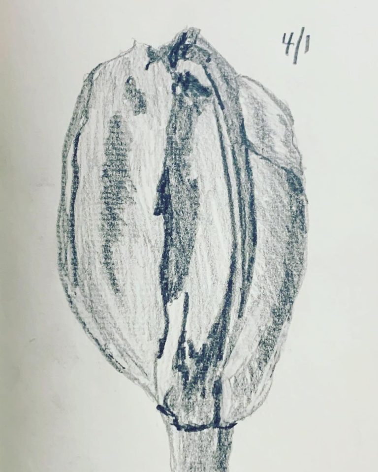 Read more about the article Day 213.