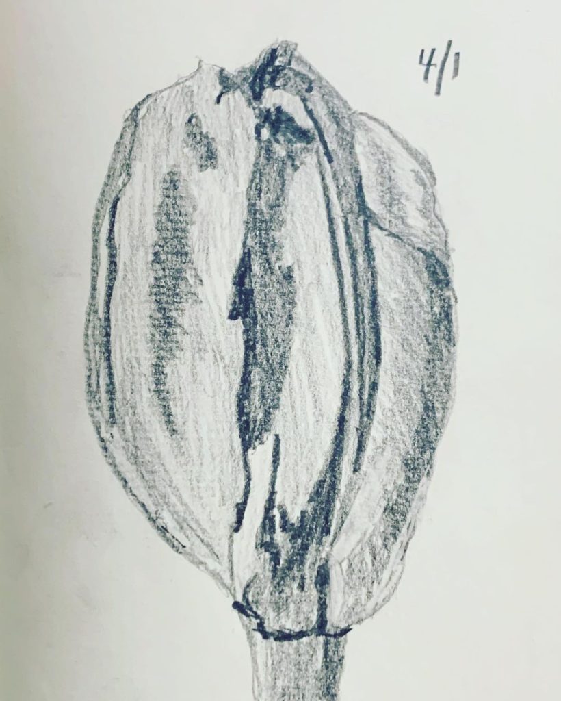 Read more about the article Day 213.