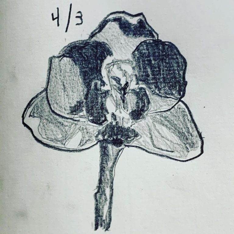 Read more about the article Day 215.