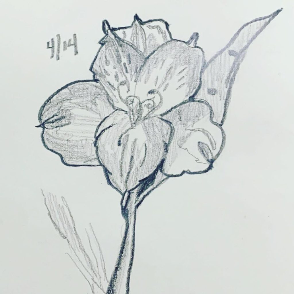 Read more about the article Day 226.