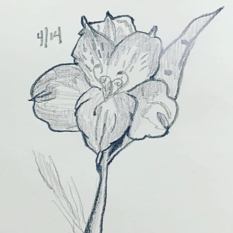 Read more about the article Day 226.