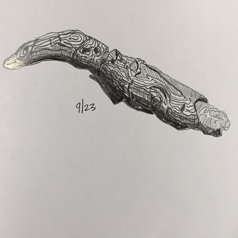 Read more about the article Day 23