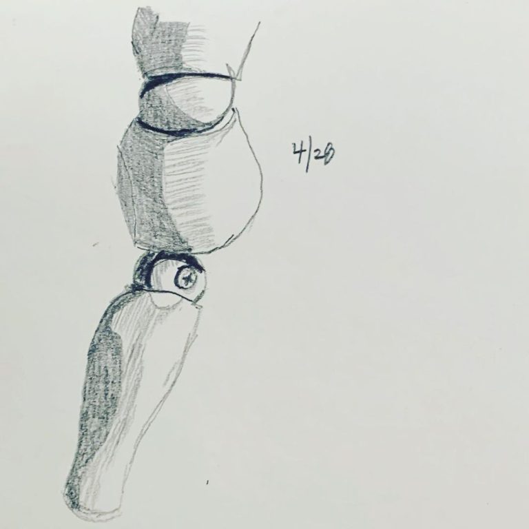 Read more about the article Day 240.