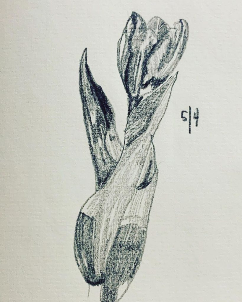 Read more about the article Day 246.