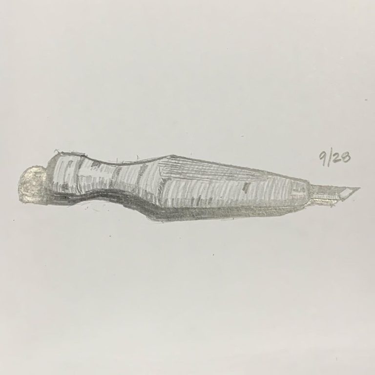 Read more about the article Day 28