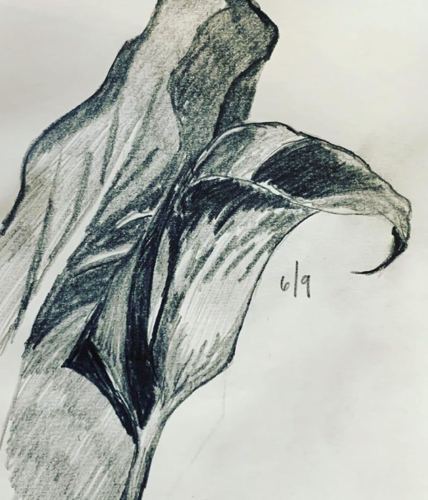 Read more about the article Day 282.