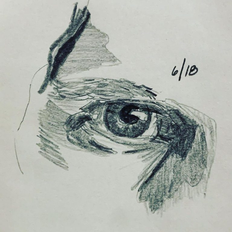 Read more about the article Day 291.