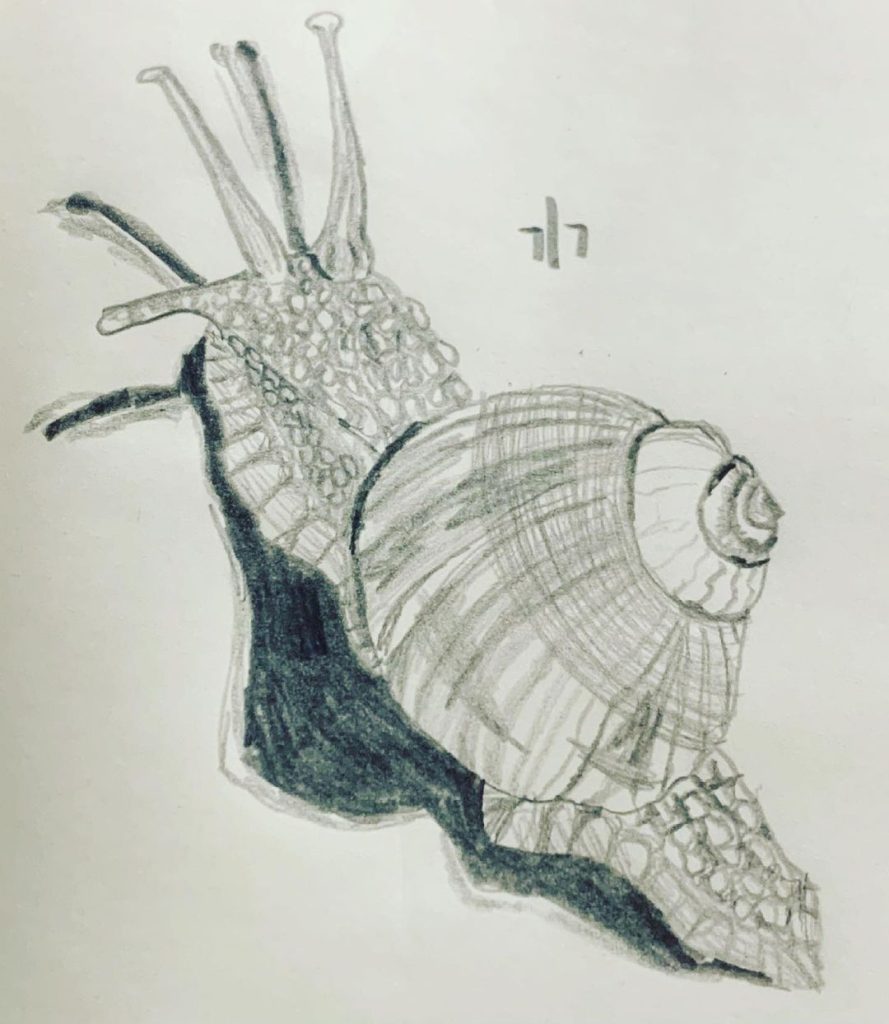 Read more about the article Day 310. S. Car. Go!