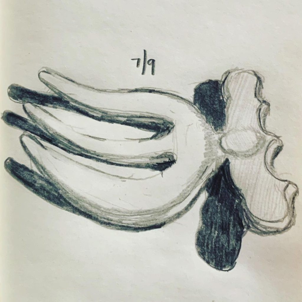 Read more about the article Day 312.