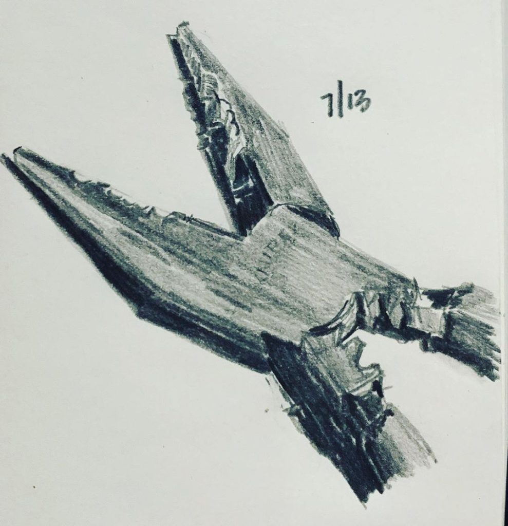 Read more about the article Day 316.