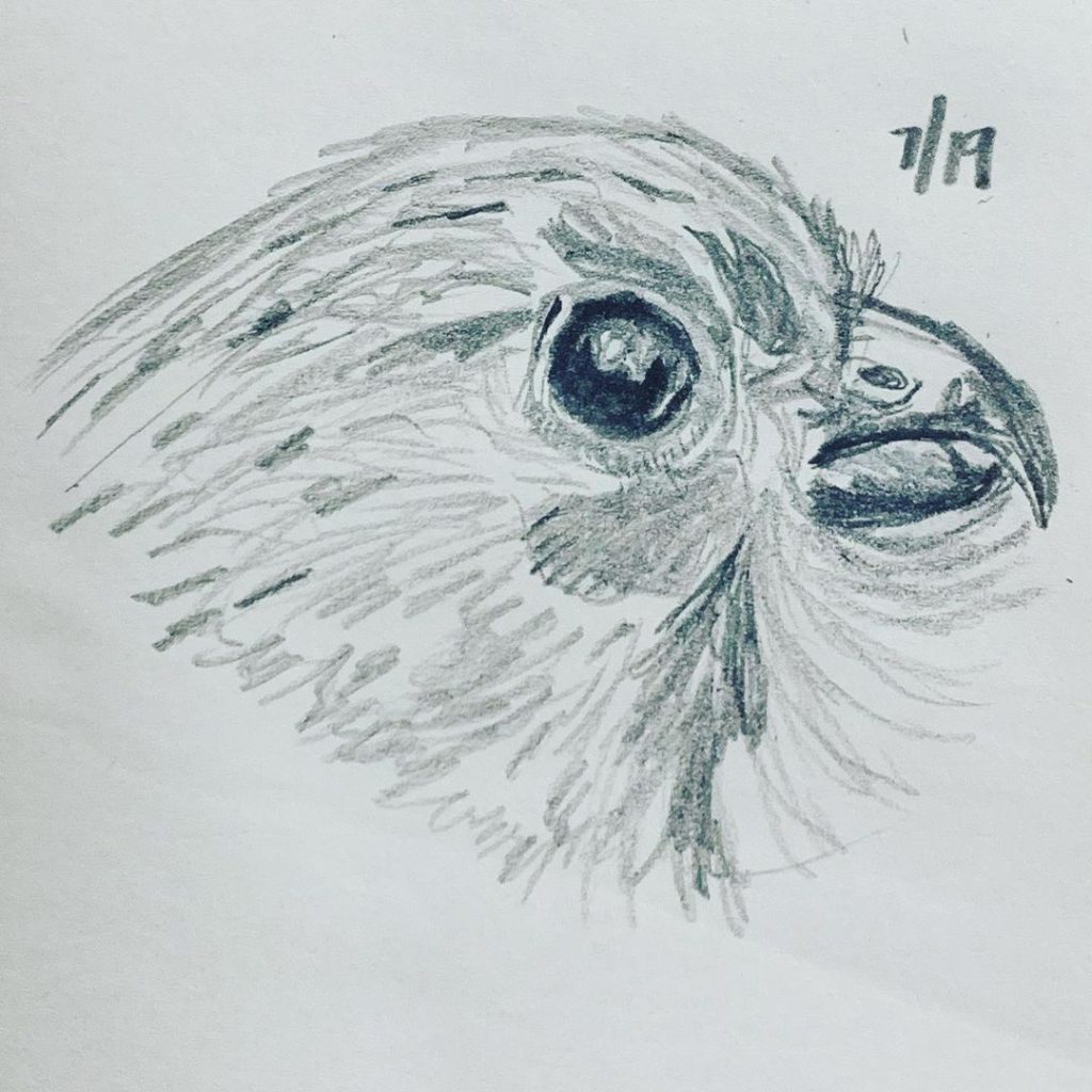 Read more about the article Day 322.