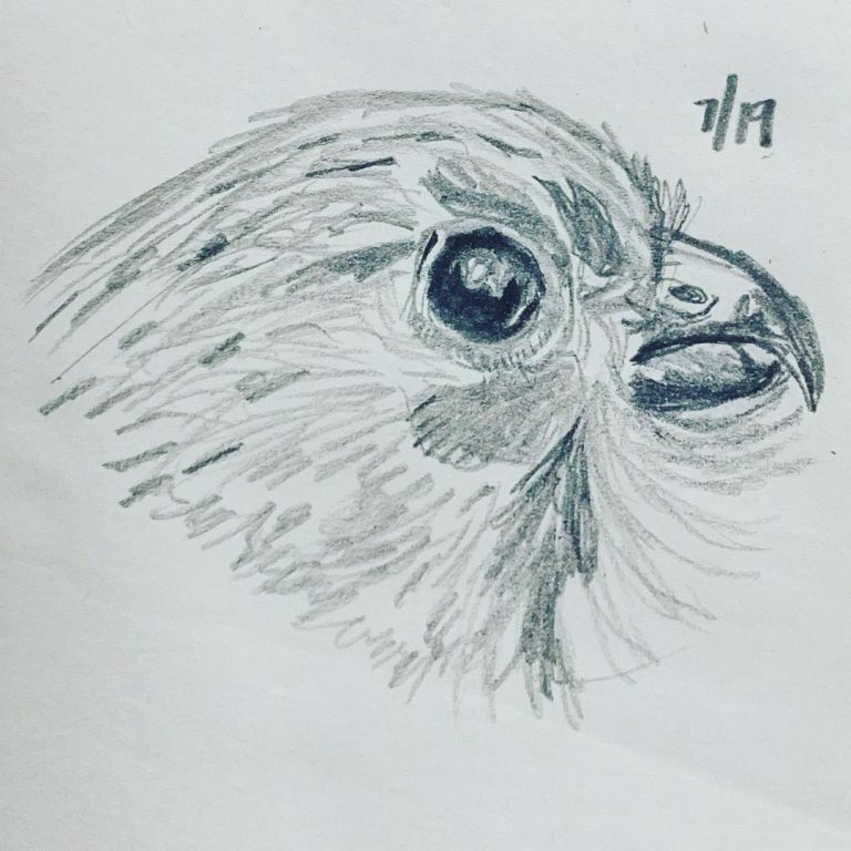 Read more about the article Day 322.