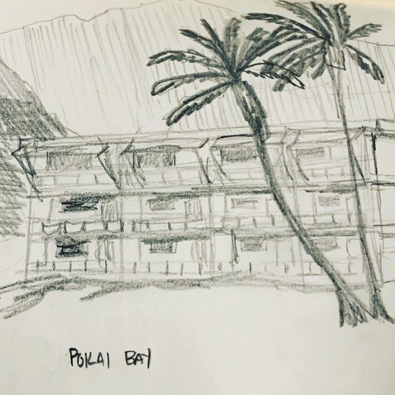 Read more about the article Day 328. Pokai Bay Beach.