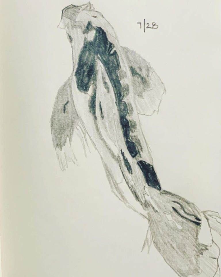 Read more about the article Day 331. Koi from the Byodo-In temple.