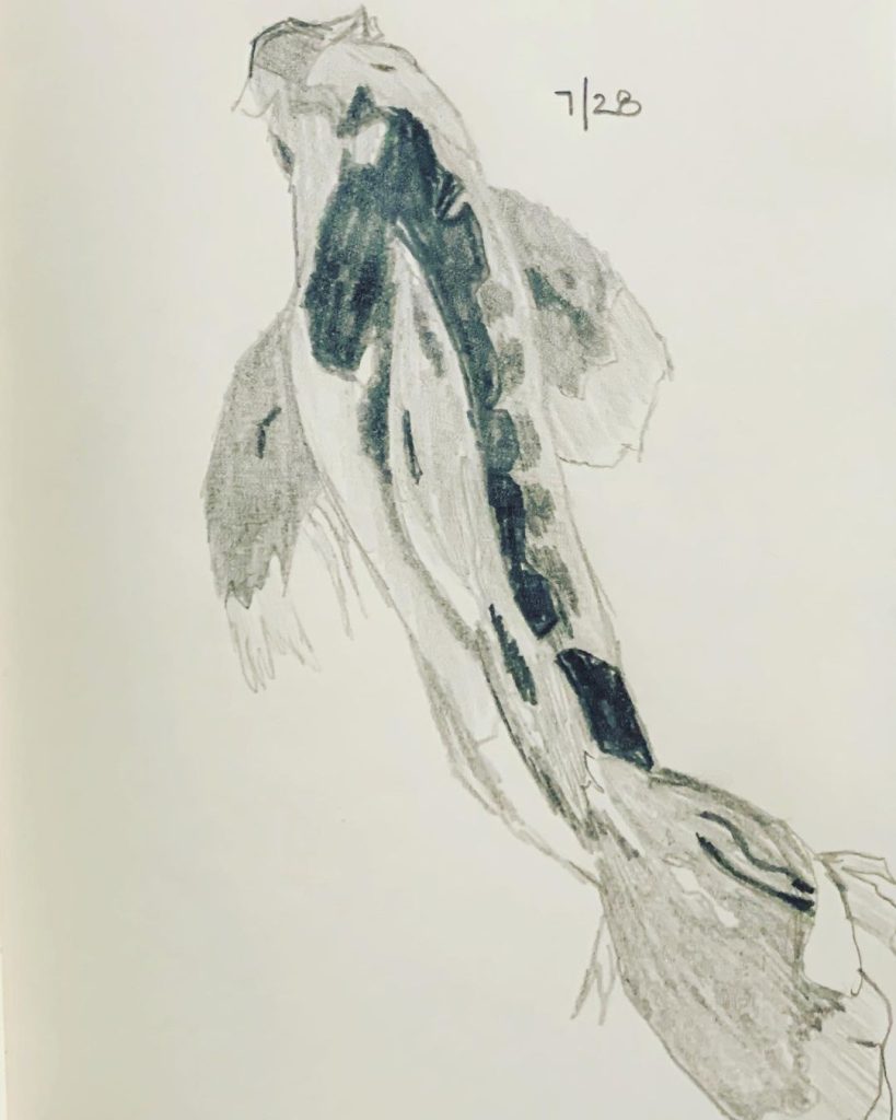 Read more about the article Day 331. Koi from the Byodo-In temple.