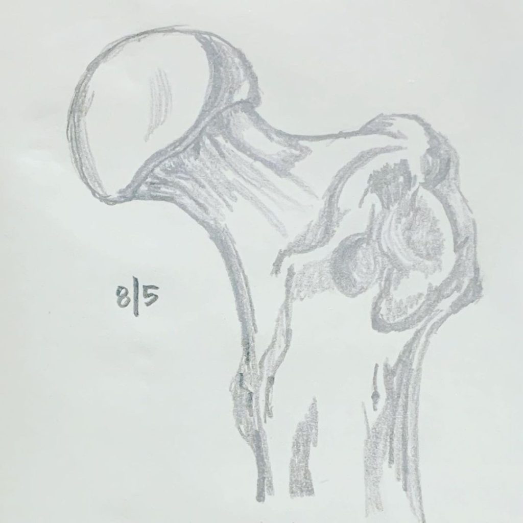 Read more about the article Day 339.