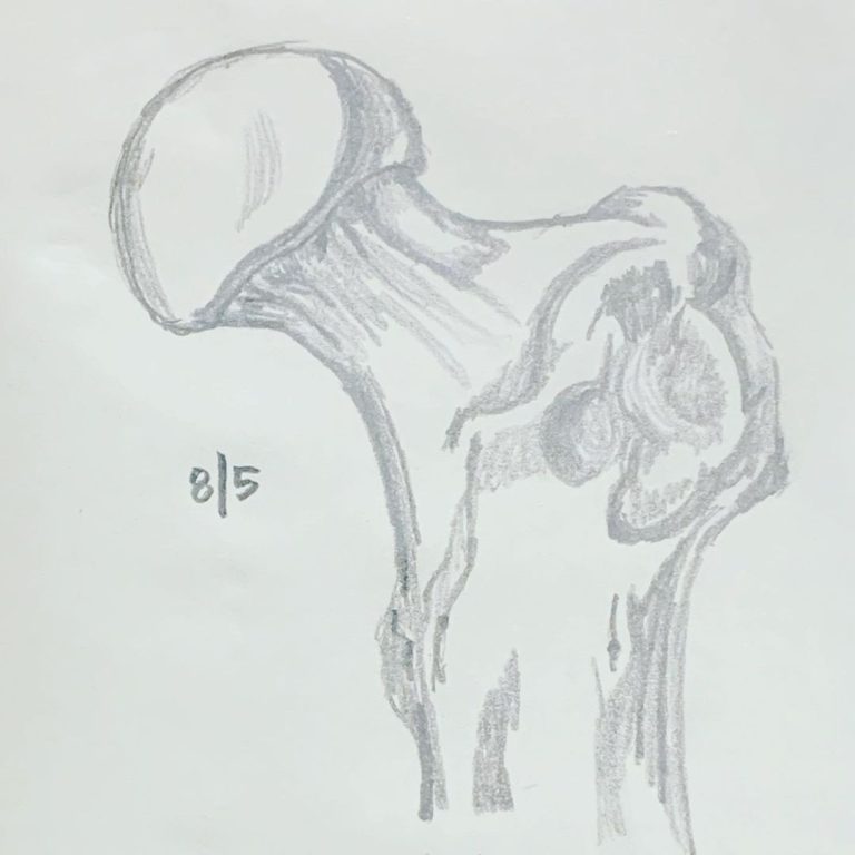 Read more about the article Day 339.